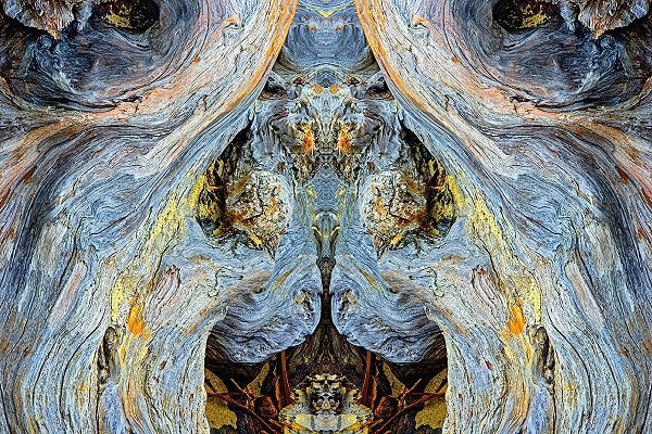 Jones, Adam 아티스트의 Abstract pattern in driftwood-Bandon Beach-Oregon작품입니다.